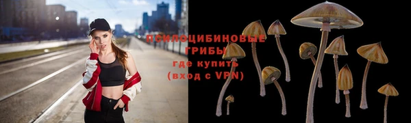COCAINE Богородск