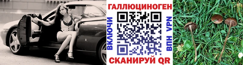 магазин    Колпашево  Галлюциногенные грибы ЛСД 
